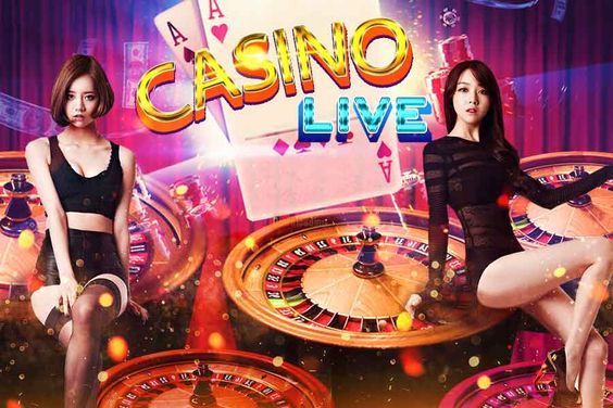 Lucky Bingo Games Live Betting